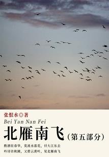初级会计报名证照是几寸