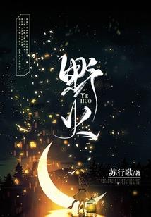 初级会计实务黄静