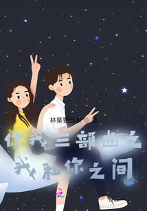 什么是会计信息化