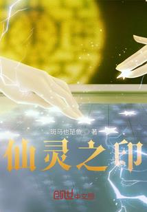 新区党建与财政融合研究