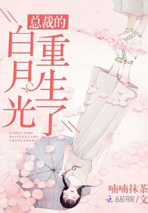 阿克苏初级会计证查询