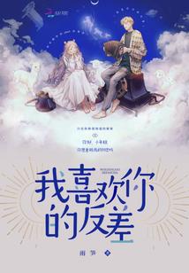 普高会计考试内容及题型