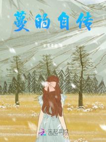 中级会计师精讲视频全套