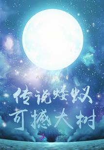 会计从事资格考试怎么查