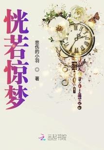 会计师类节目