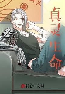 应届硕士报名初级会计