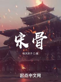海南财税优化案例