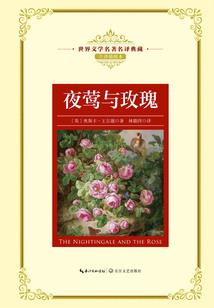 财税学校台球