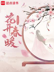 高级会计师手册