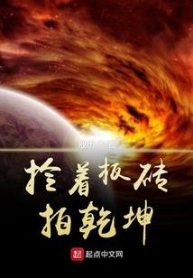 财税税聊