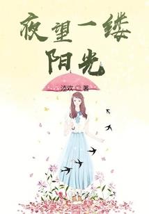 广东鹤山初级会计考点