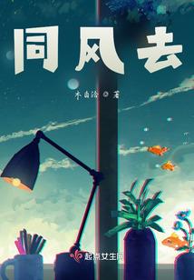 初级会计证奖励部门