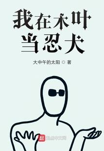 新密市财税