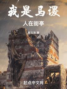 拥有cpa能干什么