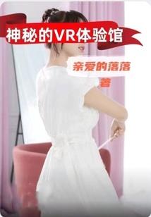 自定会计制度
