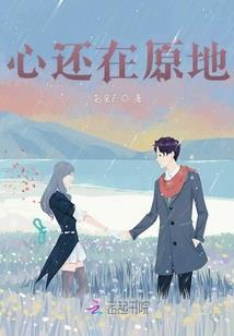 中级会计实务视频20