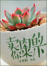 八八戒财税
