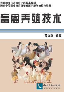 锦鑫恒润会计师