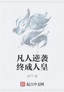 段老师的财税