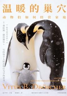 上市公司会计师要求