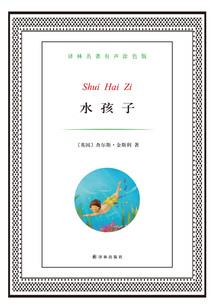 兴仁财税筹划流程