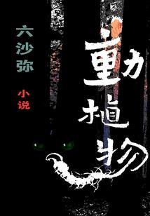 东莞初级会计考试后审