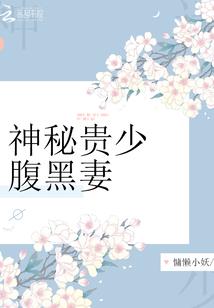 河西财税公司收费情况