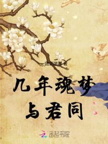 会计信息披露网站