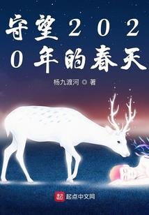 深圳龙岗政府财政