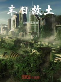 财政所中期财政规划报表