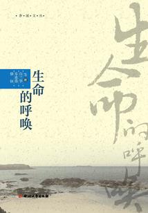 初级会计40道题