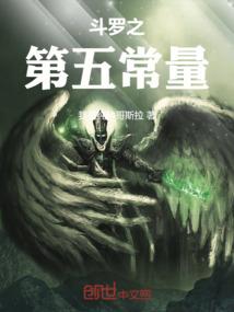 财税公司元旦视频