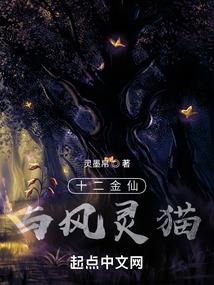 助理会计培训学校