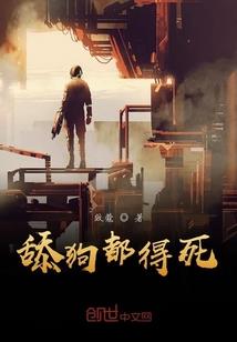 考初级会计证的时间