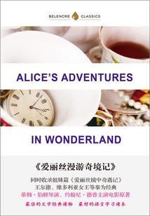 美国会计师的工资