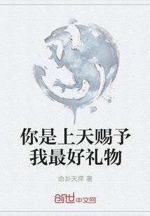 抵抹账的会计分录