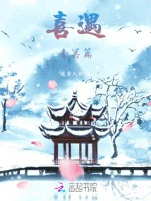 蒋介石财政赤字