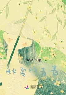 注册会计师考试阶段