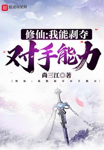 会计师什么