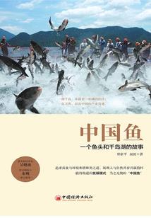 中级会计和经济师都报了