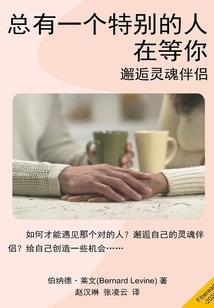 无为专业会计师