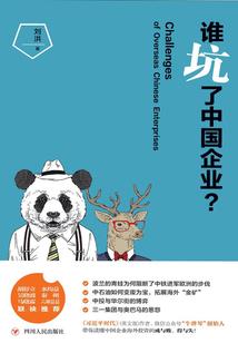 双核算制会计