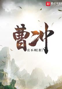 初级会计模拟系统网站