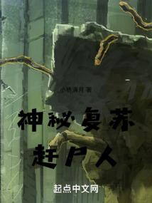 东奥软件有电脑版吗