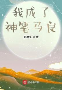 石龙财税咨询平台