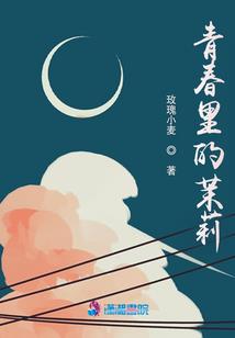 财税顾问有限公