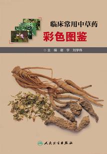 2020中级会计准考