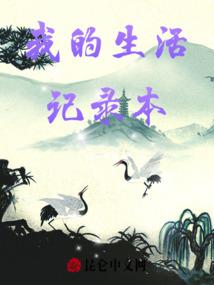 吉林市丰满区区财政收入