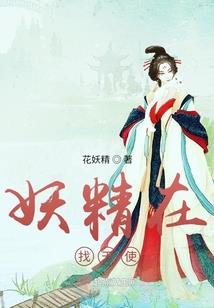 会计师造假规范