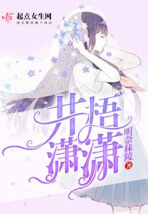 初级会计教材怎么用
